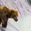 Alaska: Katmai National Park