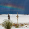 New Mexico: White Sands