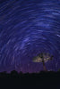 Botswana Milky Way