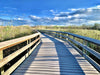 Florida Everglades Boardwalk
