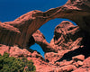 Double Arch and Juniper
