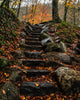 Forest Staircase