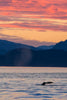 Sunset, Stephens Passage, Alaska