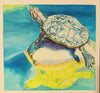 Sunny Turtle