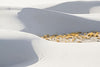 Dunes Abstract, White Sands NP
