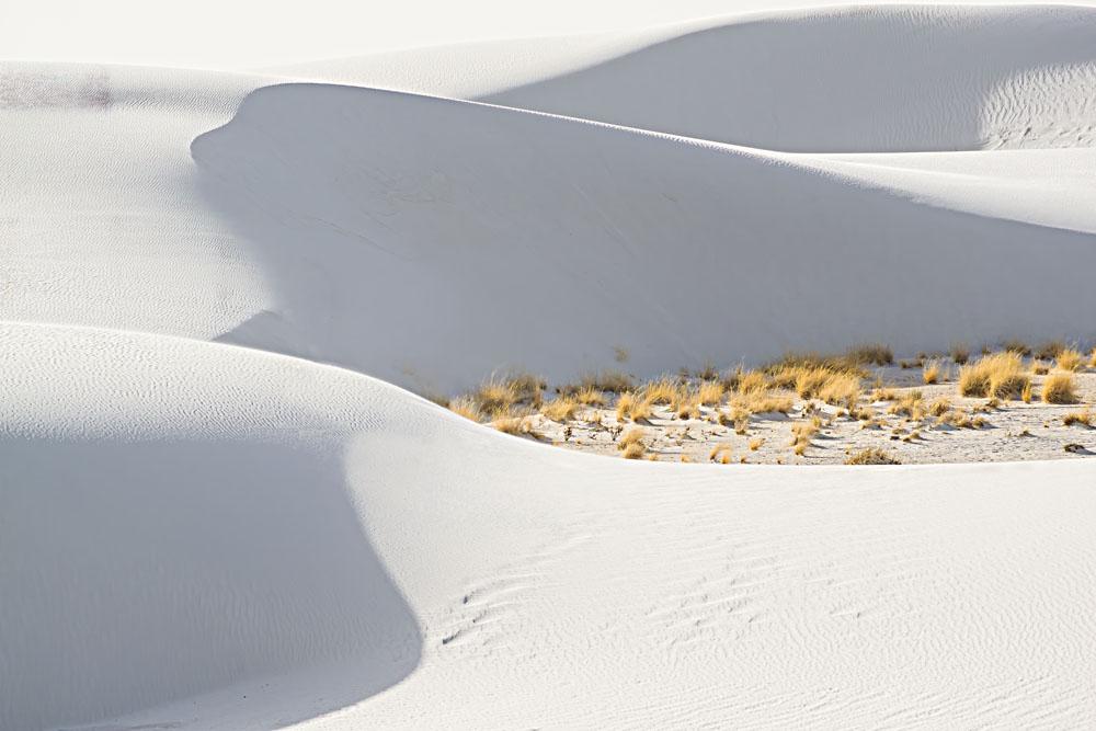 Dunes Abstract, White Sands NP