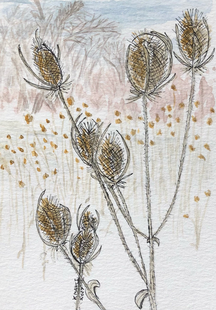 A Patch of Teasel