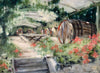 A Lady in the Wine Cask (Colle Bereto)