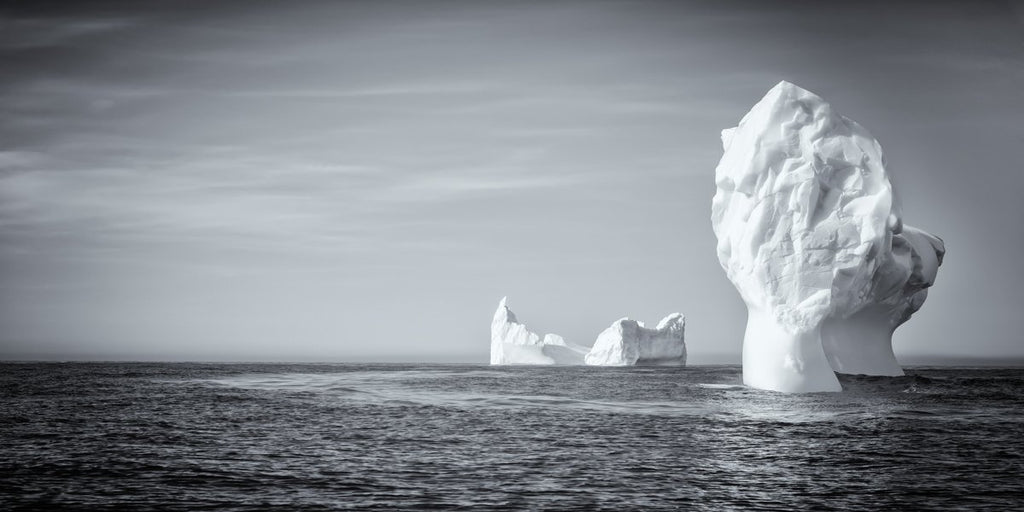 South Georgia Island Icebergs