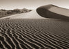 Mesquite Dunes #1