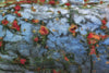 Monet Pond Scene