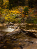Creekside Fall