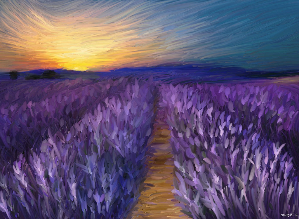 Lavender Field Sunrise