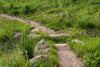 Sanitas Pastoral: Trail Stepping Stones; Mount Sanitas, Boulder CO