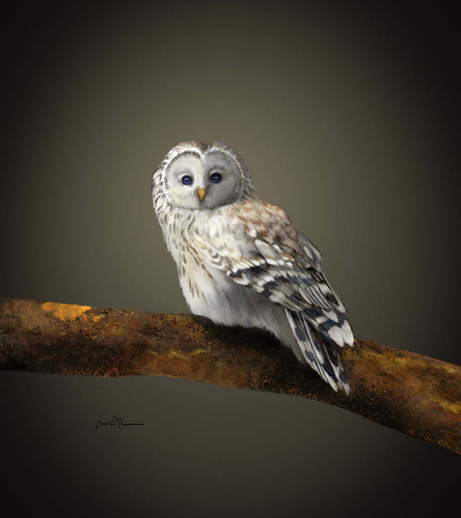 Small White Owl
