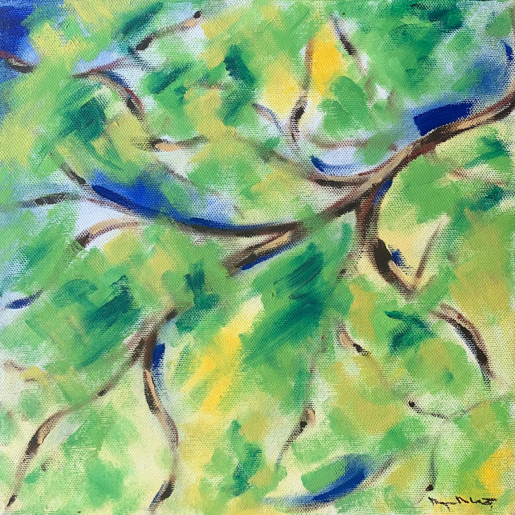 Spring Branches