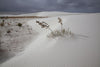 White Sands New Mexico Landscape