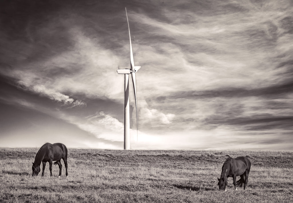 Wind Turbine Series - Horsepower