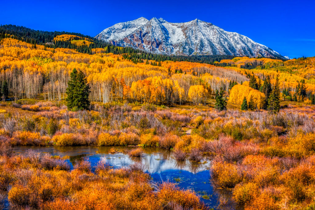 Fall Colors with Beckwith Mountain