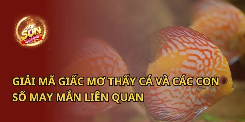 4. Mơ Thấy Bắt Cá Lớn Hay Nhiều Cá